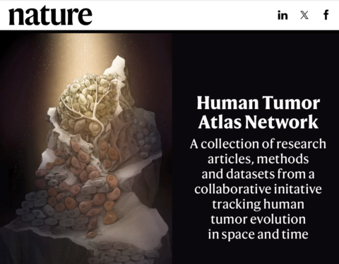 Human Tumor Atlas Network (Nature) | SCIENTARI